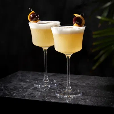 Viski Raye Crystal Sour Glasses In Clear