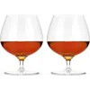Viski Raye Crystal Wingback Brandy Glasses Set Of 2 In Clear