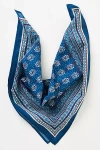 Vismaya Floral Block Print Scarf In Blue
