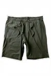Vissla Men's Comp Lite Eco Shorts In Tarp In Green
