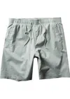 Vissla Men's No See Ums Eco 18" Ecolastic Walkshort In Sea Green In Multi