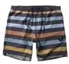 Vissla Parallels 17.5" Ecolastic Boardshort In Phantom In Multi