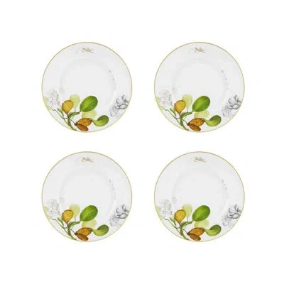 Vista Alegre Amazōnia 11.77" Dinner Plate In White
