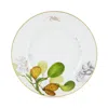 Vista Alegre Amazonia Dinner Plate In Multi