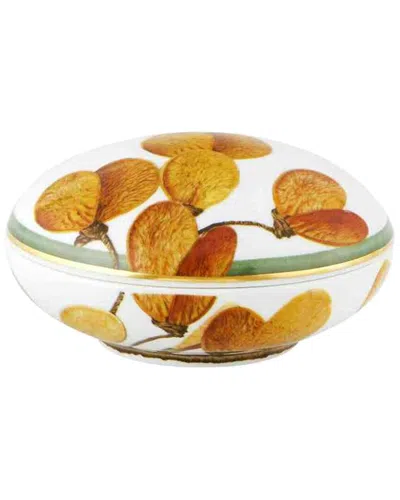 Vista Alegre Amazonia Large Round Box With $11 Credit In Multi