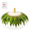 Vista Alegre Amazonia Sugar Box With $10 Credit In Multi