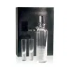 Vista Alegre Artic Case With Vodka Decanter And 4 Shot Glasses In Clear
