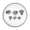 Vista Alegre Herbariae By Christian Lacroix Bread And Butter Plate In White