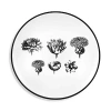 Vista Alegre Herbariae By Christian Lacroix Bread And Butter Plate In Multi