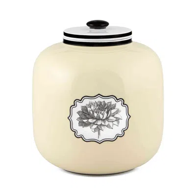 Vista Alegre Herbariae By Christian Lacroix Timor Box In Multi