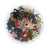 Vista Alegre Love Who You Want By Christian Lacroix Charger Plate In Multi