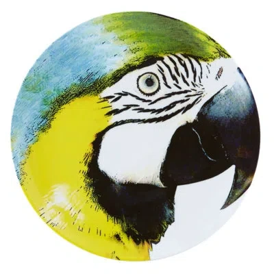 Vista Alegre Olhar O Brasil Bellied Macaw 12.91" Charger In Multi
