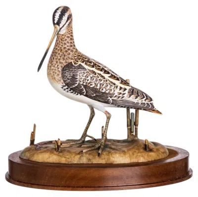 Pre-owned Vista Alegre Porcelain - Common Snipe Sculpture -  In Brown