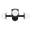 Visual Comfort & Co. Visual Comfort Nodes 18" Wide Black 4-light Ceiling Light