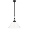 Visual Comfort & Co. Visual Comfort Studio Atlantic Aged Iron Pendant 1 E26 Medium T10 60w
