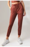 Vitality Nomad Jogger In Brown