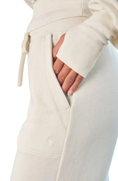 Vitality Remedy Carpenter Pant In Neutral