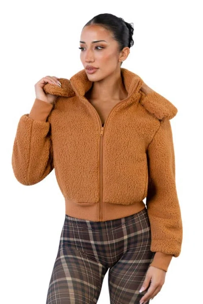Vitality Teddy Bomber Jacket In Brown