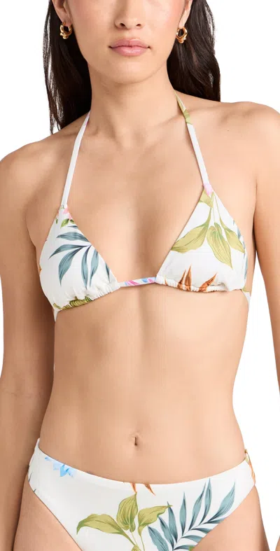 Vitamin A Gia Floral Triangle Bikini Top In Summer Bloom
