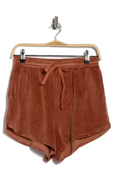 Vitamin A ® Mari Cover-up Shorts In Brown