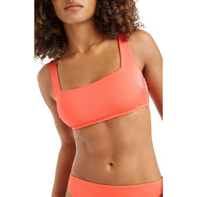 Vitamin A ® Mika Bikini Top In Brown