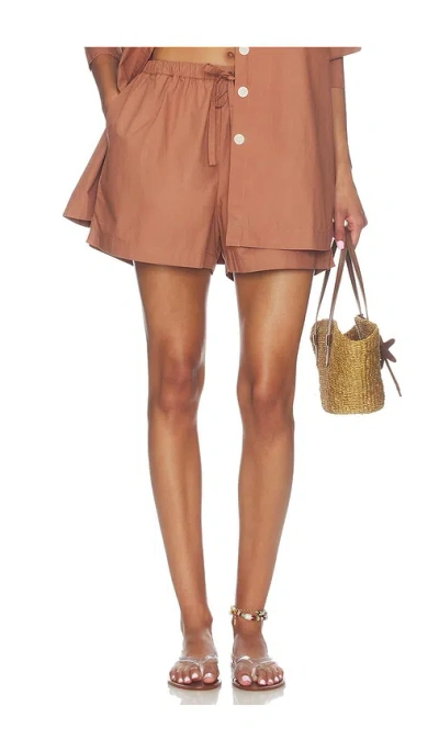 Vitamin A Parker Short In Brown