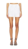 Vitamin A Parker Short In Pattern