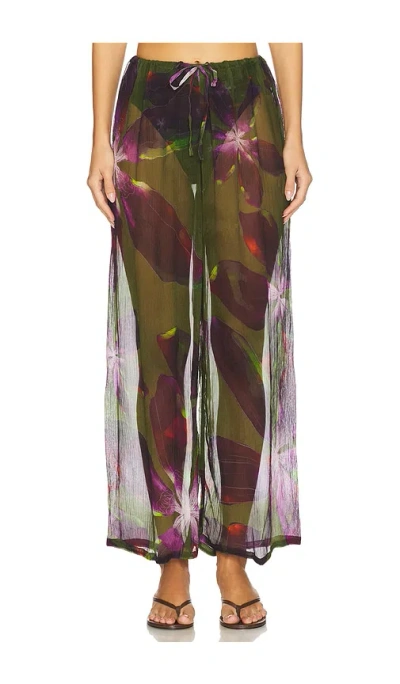 Vitamin A Petra Pant. - In Multi
