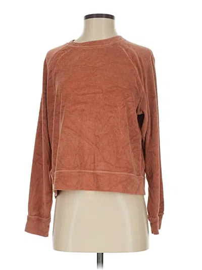 Pre-owned Vitamin A Pullover Sweater In Brown