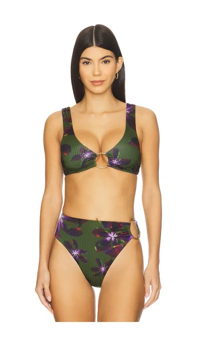 Vitamin A Skylar Bikini Top. - In Green