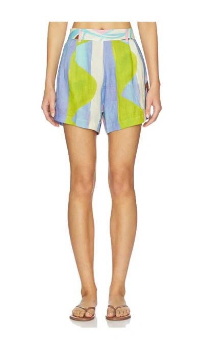 Vitamin A The Getaway Short In Multi