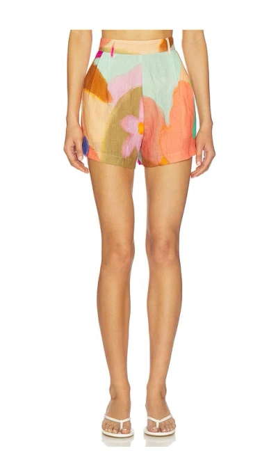 Vitamin A The Getaway Short In Multi