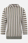 Vitelli Striped Linen-blend Hoodie In Multi