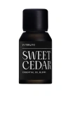 Vitruvi Sweet Cedar Essential Oil Blend In Black
