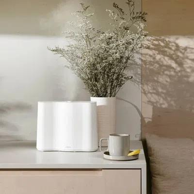 Vitruvi : The Cloud Humidifier