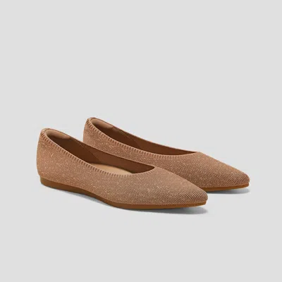 Vivaia Pointed-toe Ballet Flats (aria 5°) In Multi