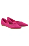 Vivaia Pointed-toe Flats