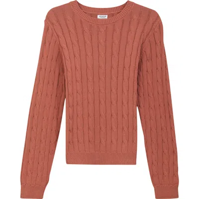 Vivid Cable Knit Ribbed Neck Sweater In Brown