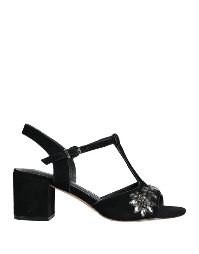 Vivien Lee Sandals In Black