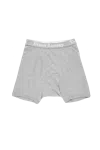 Vivien Ramsay Boxer Brief Grey In Gray