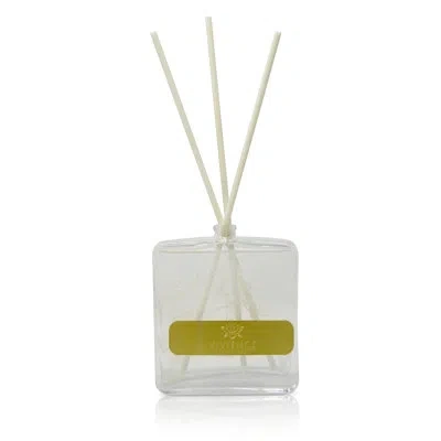 Vivience Clear Bottle Diffuser With White Reeds In White;clear