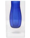 Vivience Crystal Bud Vase With Double Wall & Colored Inner