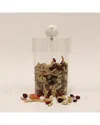 Vivience Medium Acrylic Canister With Ball Knob In Transparent