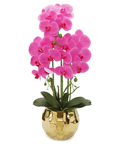 Vivience Pink Orchid Plant In Flat Round Gold Hammered Pot