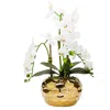 Vivience White Orchid Plant In Gold Hammered Vase