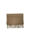 Vivienne Westwood Tassel Logo Scarf In Brown