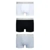 Vivienne Westwood Logo-waistband Organic-cotton Blend Boxers In Multicolor