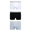Vivienne Westwood Logo-waistband Organic-cotton Blend Boxers In Multicolor