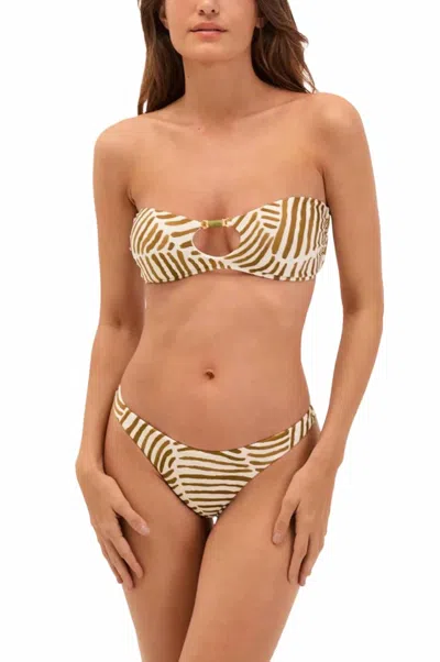 Vix Basic Bikini Bottom In Multi