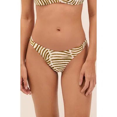 Vix Paula Hermanny Basic Bikini Bottoms In Multi